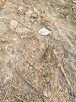 sexloverg7 online show from December 15, 10:41 am