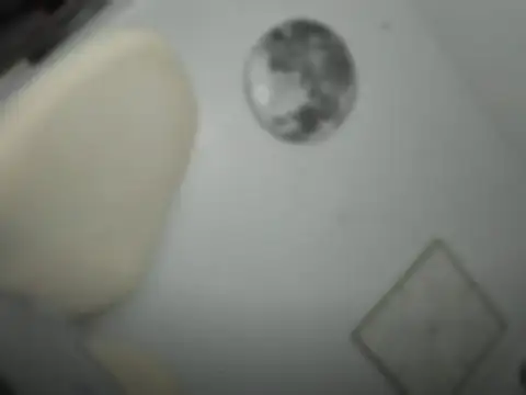 mxshemale ladyboy online show from March 26, 5:29 pm