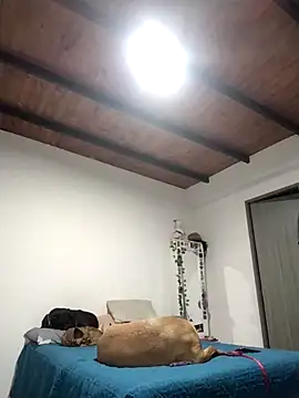 Perfect match19 online show from December 22, 11:24 pm