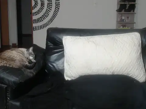 BeautyYoungblond online show from March 14, 2:39 am