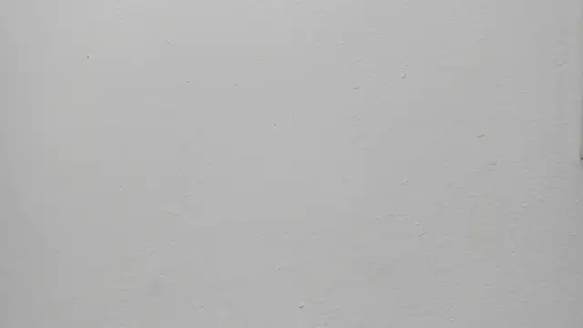 ariloe quintero online show from March 30, 1:34 pm