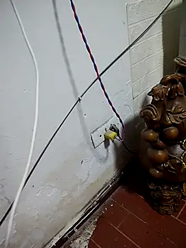 thobaby99 online show from January 9, 7:55 am