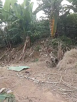 Menlike69 online show from January 11, 2:27 am