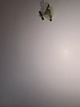 JMeowMix online show from April 13, 9:53 pm