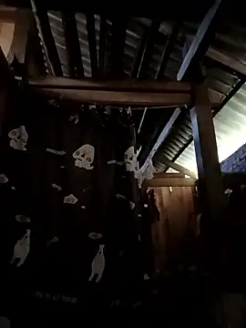 Money moneylove online show from December 23, 3:37 am