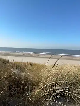 friemeldepiemel online show from March 5, 1:18 pm