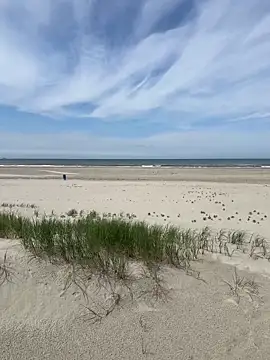 friemeldepiemel online show from June 1, 12:18 pm