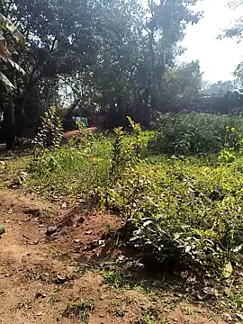 Snapshot of janbi_sexe chatting on January 14, 5:46 am janbi sexe online show from January 14, 5:46 am