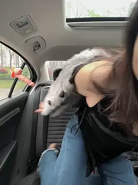 Snapshot of mo-mo-69 chatting on April 3, 2:09 am mo-mo-69 online show from April 3, 2:09 am