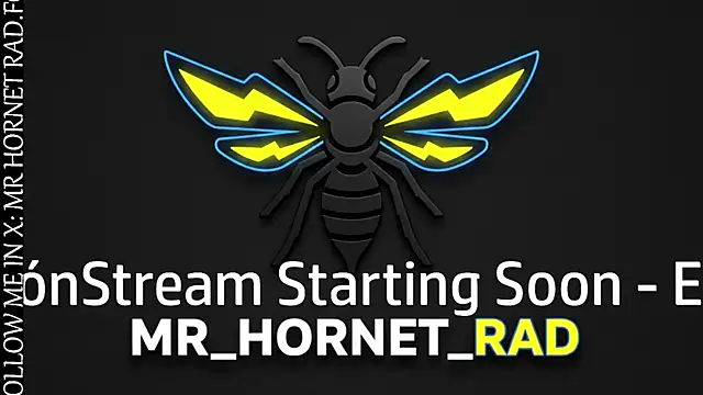 Snapshot of s_hornet chatting on April 22, 9:38 pm s hornet online show from April 22, 9:38 pm