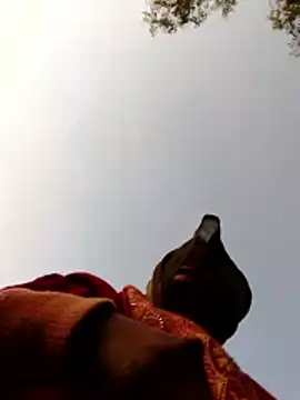 Jyoti sekh online show from February 10, 2:04 am