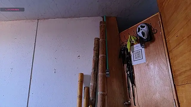 Snapshot of Alice_randyy chatting on February 12, 1:17 pm Alice randyy online show from February 12, 1:17 pm