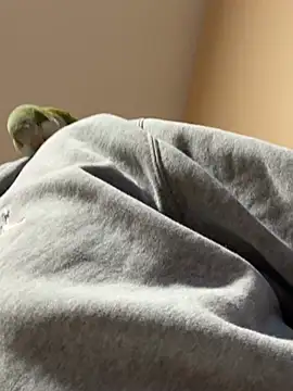 Andres56ojh online show from February 14, 11:01 pm