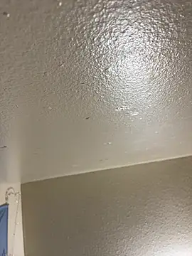 Egyptian reign online show from January 16, 3:43 am