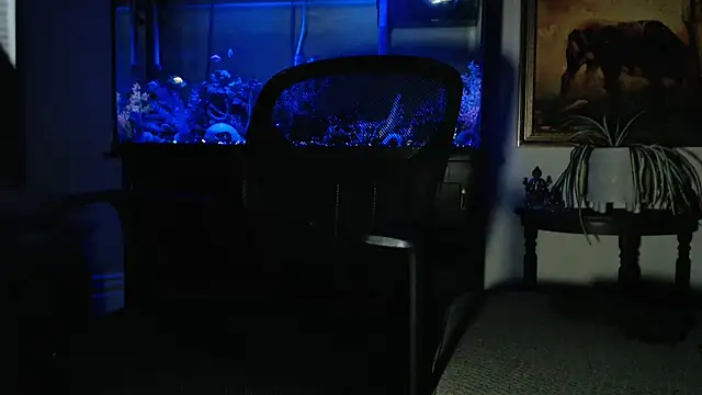 EspanolVato online show from February 8, 9:13 am