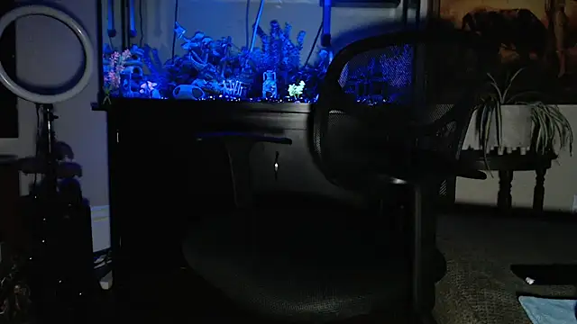 EspanolVato online show from February 19, 10:55 am