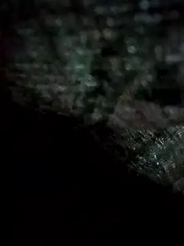 HotteboyShubh online show from January 13, 6:35 pm