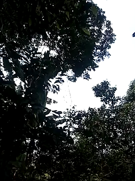 Snapshot of him220 chatting on March 2, 6:58 am him220 online show from March 2, 6:58 am