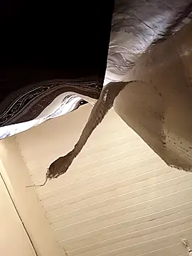 shanicollete online show from January 15, 4:28 am