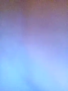 Nllpvp online show from January 9, 2:31 pm