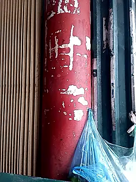 LINSA20 online show from February 4, 2:39 am