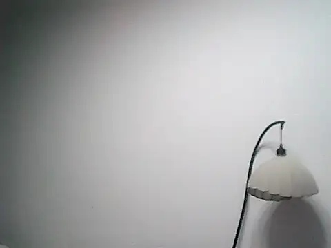 258ww online show from January 8, 12:07 pm