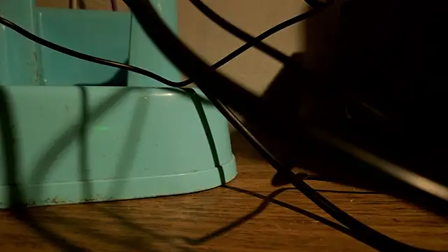 Dylann Carter online show from March 24, 11:21 pm