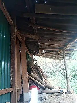 feli-00 online show from January 10, 2:02 am