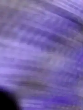 Kalpanaxa online show from January 11, 6:51 am