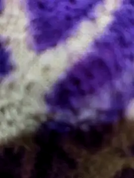 Gaonkadesiland online show from January 15, 6:22 pm