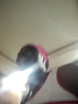 EngelSmith  online show from February 5, 12:21 pm