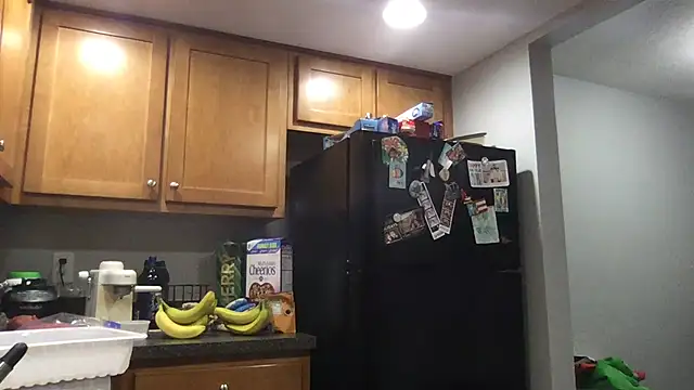 bottombeargaming online show from January 14, 2:28 am