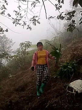 cdyyds-69 online show from January 15, 1:54 am