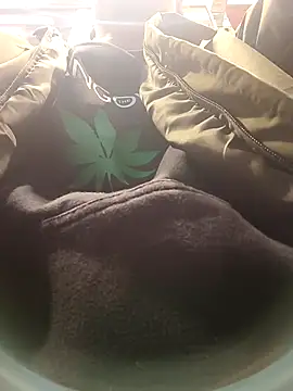 dildarlund online show from January 9, 1:47 pm