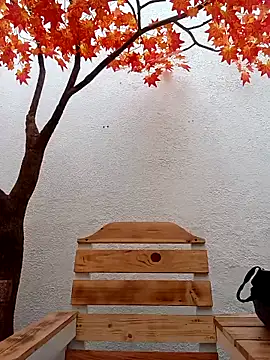 Dante Knox online show from February 15, 11:52 am