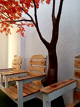 Dante Knox online show from March 2, 11:28 am