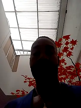 Dante Knox online show from April 9, 11:48 am