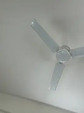 Cutenikkibaby online show from February 23, 6:33 am