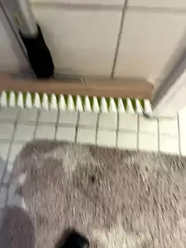 Hamsterdich online show from January 18, 4:00 pm