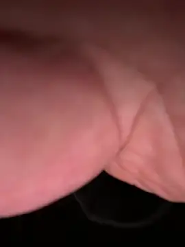 ForagingZealand online show from January 13, 2:39 am