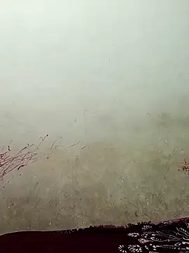 Snapshot of Sexycoupel556 chatting on March 21, 10:31 am Sexycoupel556 online show from March 21, 10:31 am