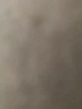 KGF786 online show from February 12, 4:35 pm