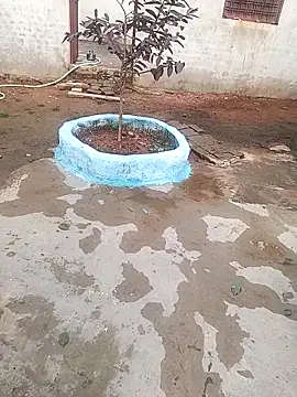 CUTE khusabi online show from January 18, 6:28 am