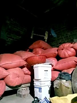 Diana-02 online show from March 29, 12:16 pm