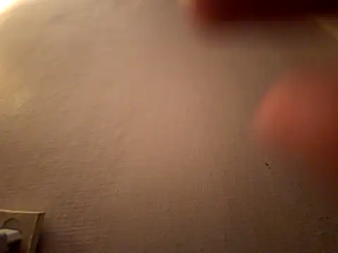 DanekBear online show from April 14, 10:38 pm