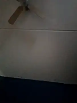 dewimp1 online show from February 1, 10:14 am