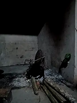 cutebobi online show from April 4, 10:29 pm