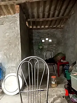 Nuna 689 online show from April 3, 3:37 am