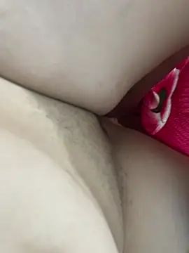 teubrinquedinho online show from February 24, 6:00 am