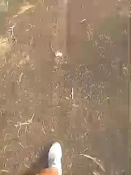 jhenyseducao online show from March 18, 11:02 am